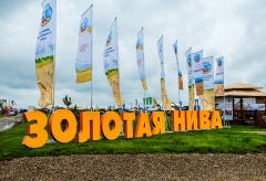 О проведении международной выставки «Золотая Нива-2017»