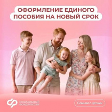 Когда подавать заявление в Отделение СФР по Краснодарскому краю для продления единого пособия